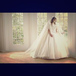 Ball Gown Wedding Dress